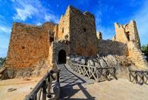 Amman- Jerash- Ajloun- Amman