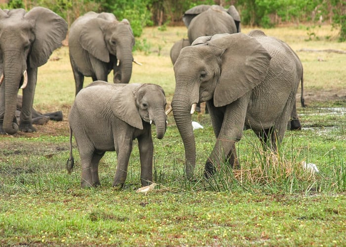Départ du cratère du Ngorongoro vers la ville d'Arusha