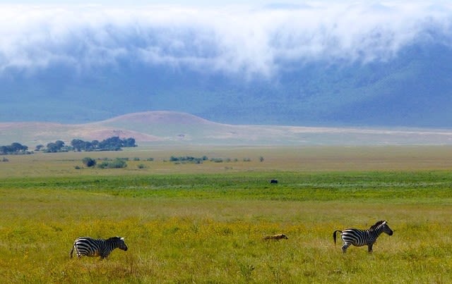 Serengeti National Park to Ngorongoro Crater