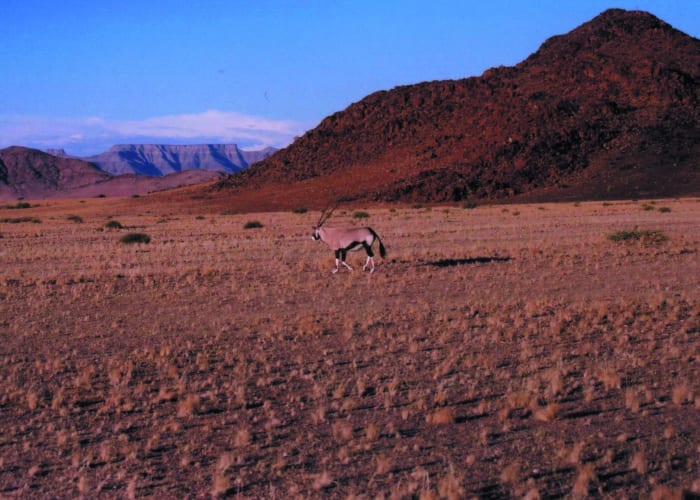 Sesriem National Park - Naukluft Mountain Zebra Park