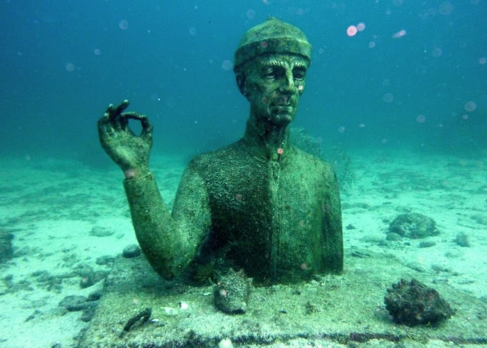 Plongée dans la Réserve Cousteau