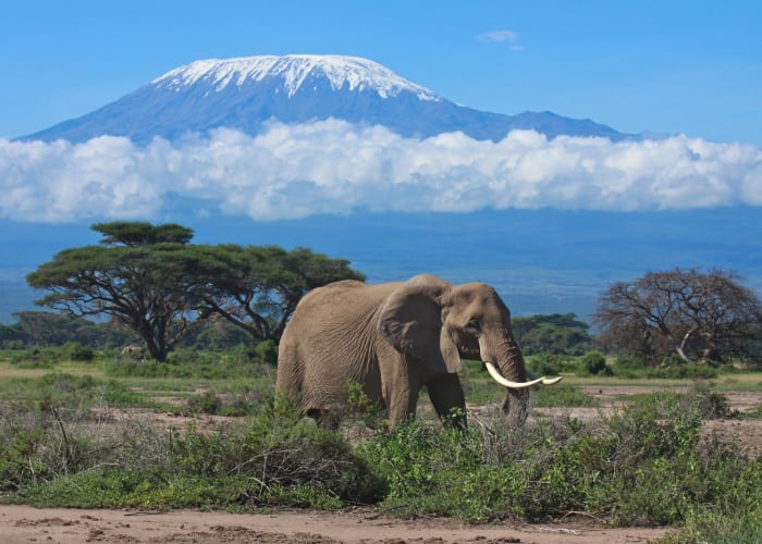 Nairobi - Amboseli