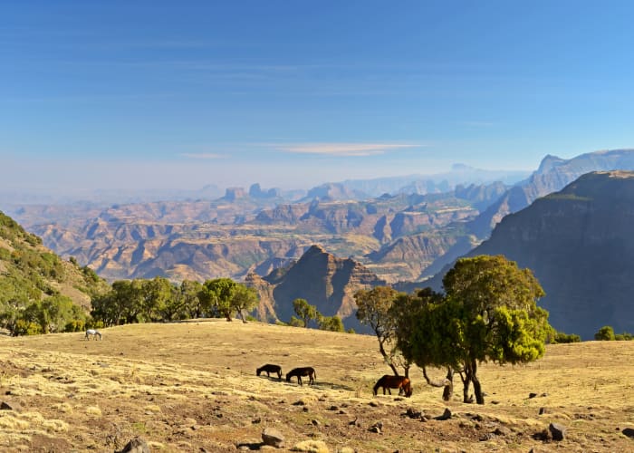 ROUTE DE BARAHIR DAR VERS LES MONTAGNES SIMIENS PAR GONDAR