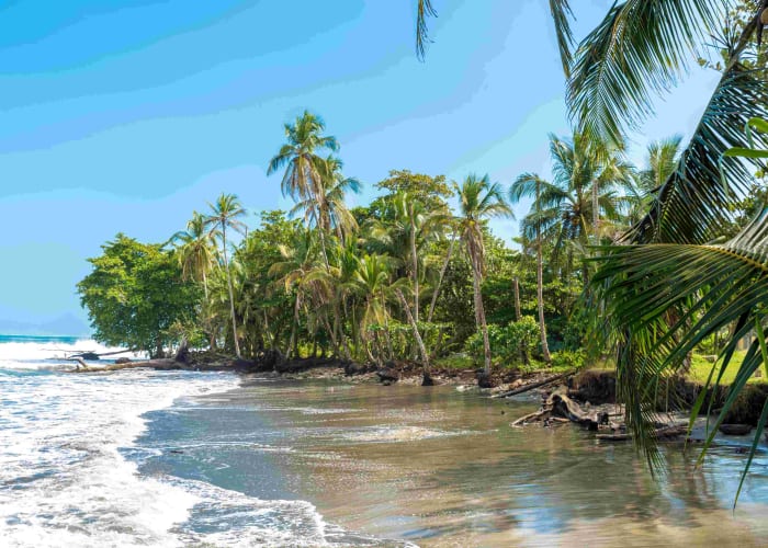 Cahuita
