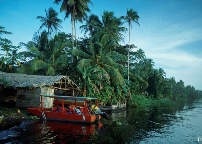 Tortuguero, la diversité des canaux