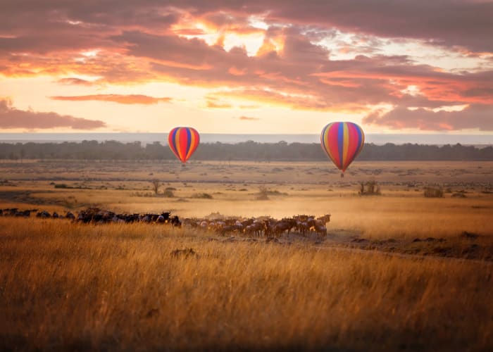 Journée complète à la découverte de la réserve nationale du Masai Mara
