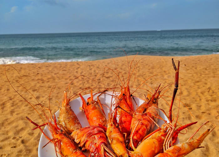 Galle - Colombo