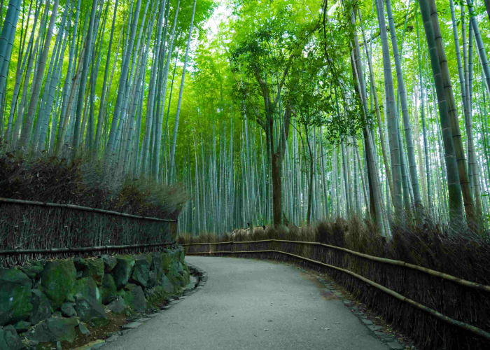 Kyoto