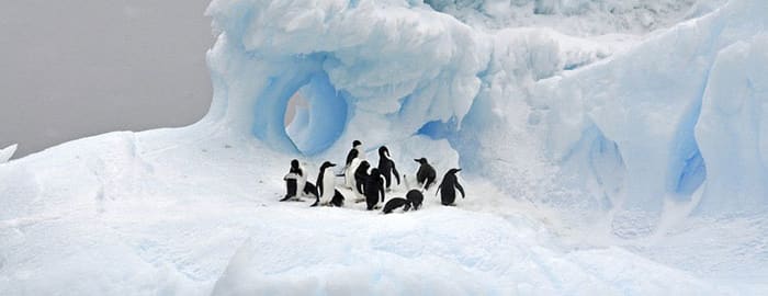 Direction l'Antarctique