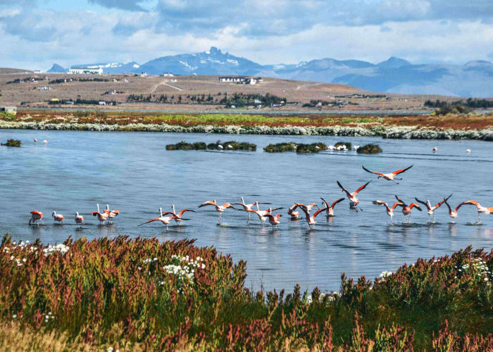 Buenos Aires - El Calafate