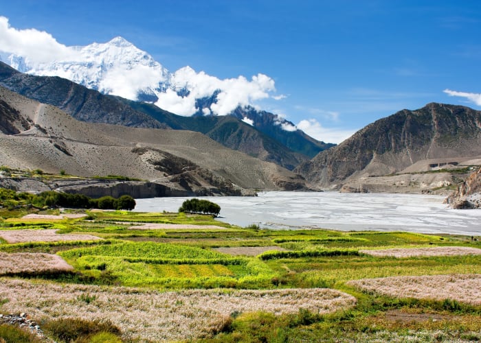 Lo Manthang (5 à 6 heures de marche)