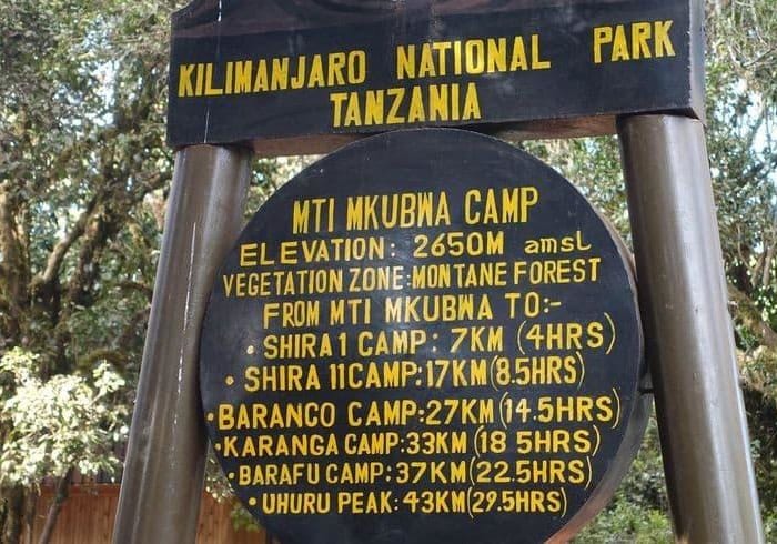 Big Tree Camp (2780 m) – Shira Camp 2 (3900 m)