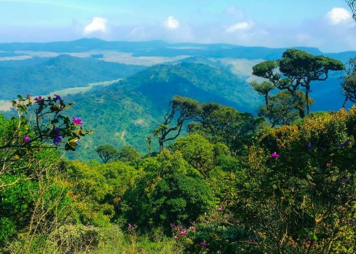Ella - Nuwara Eliya (2h de train)