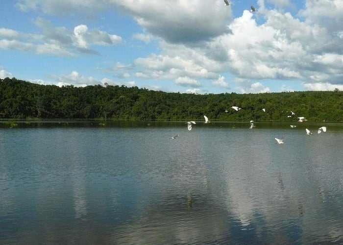 Ankarafantsika