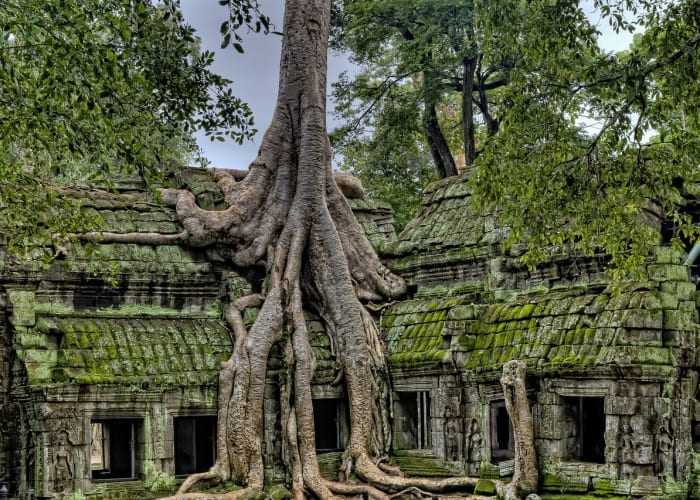 Immersion dans un village local Cambodgien et visites des temples d'Angkor Wat