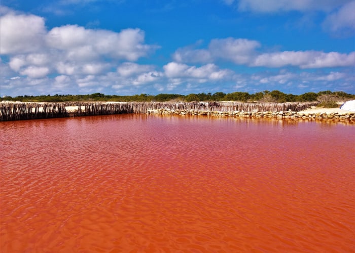 Jour 3 - RIO LAGARTOS ET LAS COLORADAS