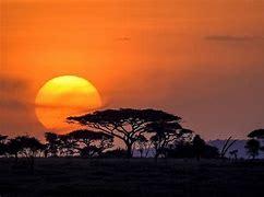 Safari dans le Serengeti