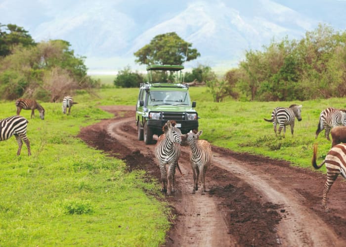 Serengeti au Ngorongoro