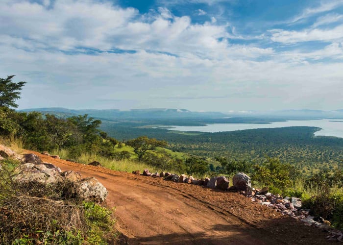 Transfert vers le parc national de l'Akagera