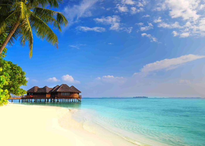 Départ de Papeete ( TAHITI ) le Samedi ou Jeudi