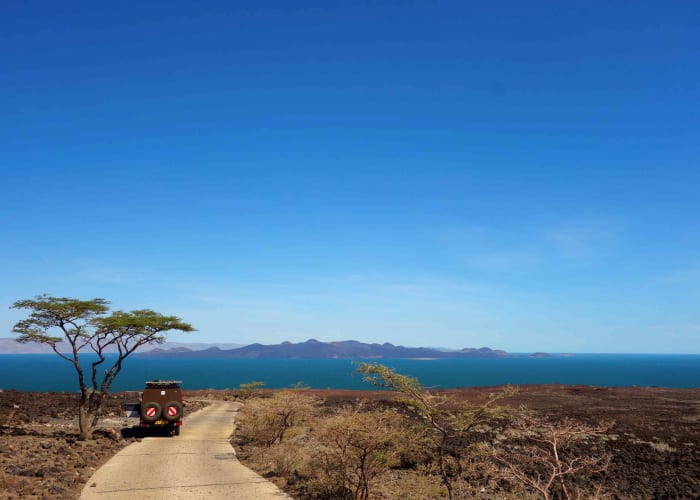 Journée au parc national de Tarangire