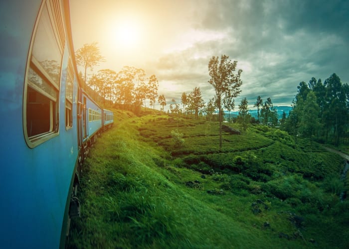 Galle - Ella  (Approx. 3 hour drive)