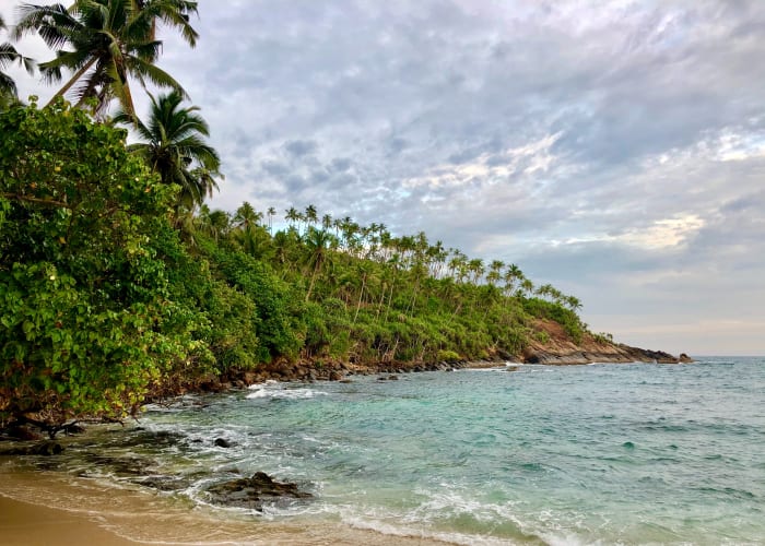 Galle - Mirissa (1h30 de route)
