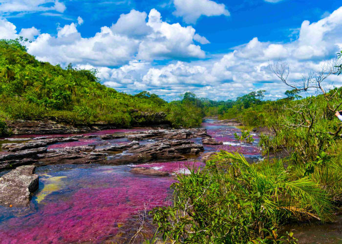 Journée à Puerto Narino et lacs de Tarapoto