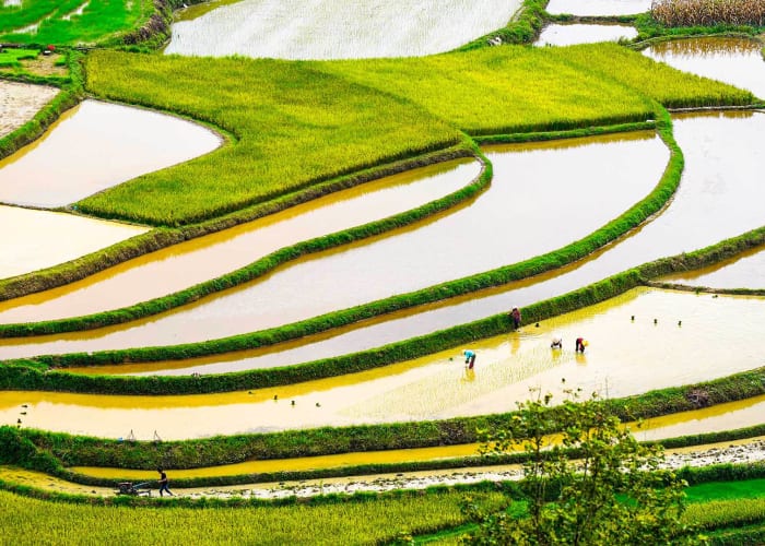 Jour 9: Bac Son - Hanoi: 155 km