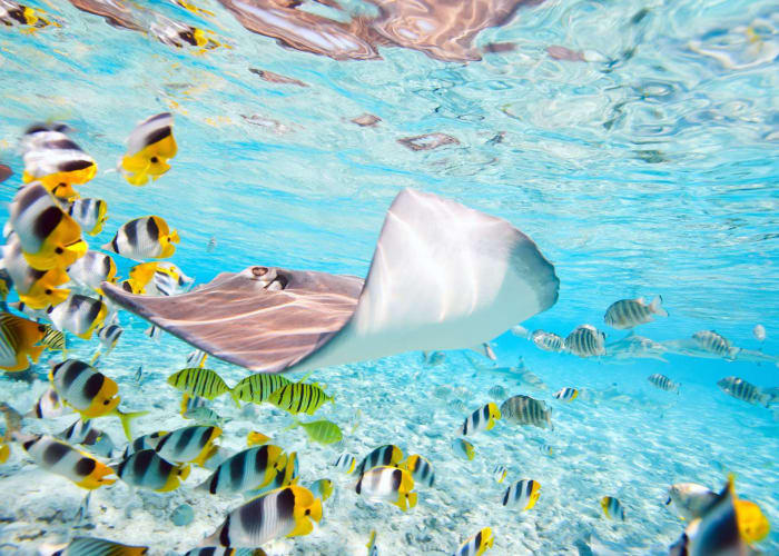 TAHITI ( PAPEETE )
