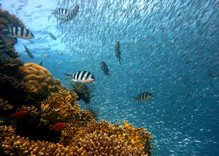 Fernando de Noronha