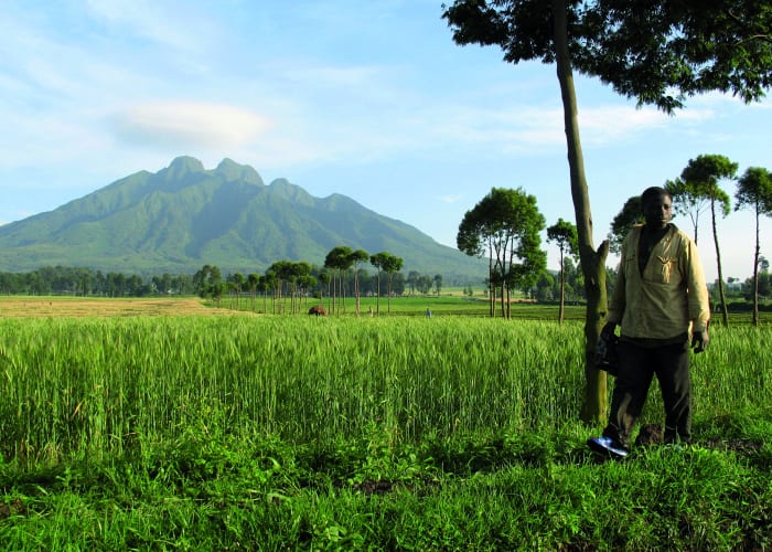 La montée du sentier de Bisoke dans les volcans
