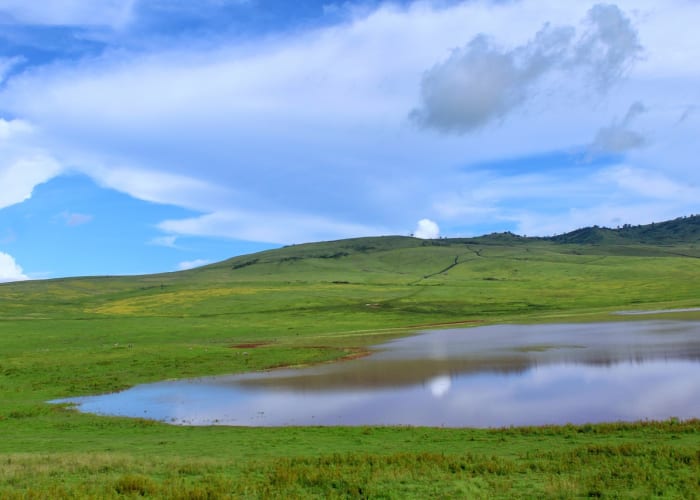 Parc national du Serengeti - Zone de conservation du Ngorongoro