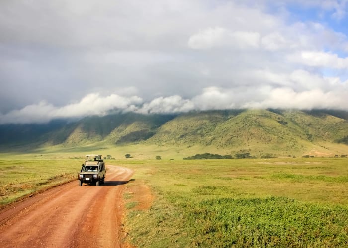 Parc national du Serengeti Ngorongoro