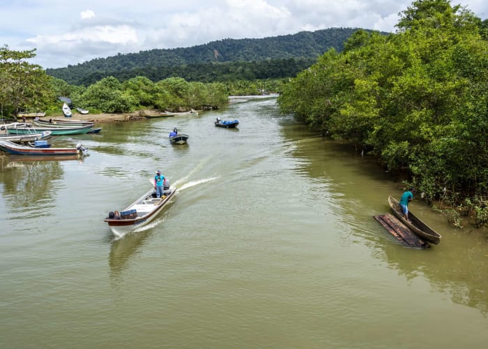Bahia Hondita, ses mangroves et flamands roses