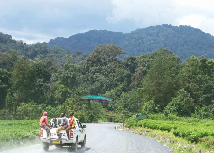 Transfert au parc national de Nyungwe