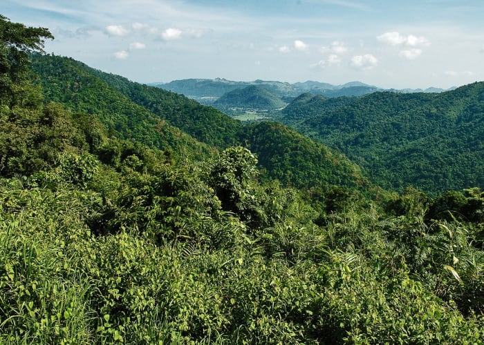 Découverte libre du parc national de Khao Yai