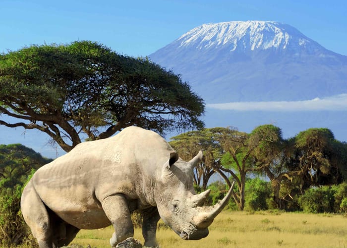 De Ngorongoro à l'aéroport