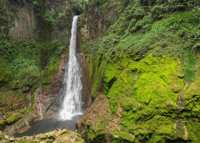 Alajuela - Bajos del Toro (1h30)