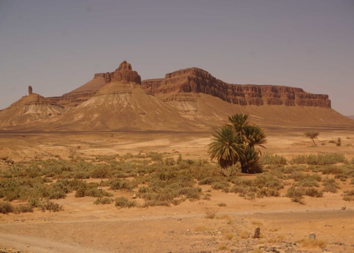 Taroudant - Vallée du Drâa