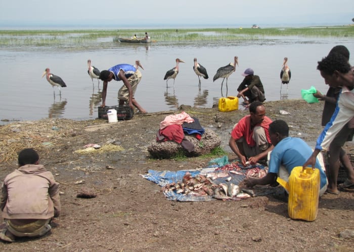 Le marché aux poissons