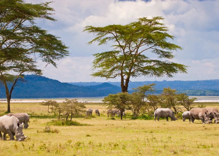 Lake Naivasha - Hells Gate National Park