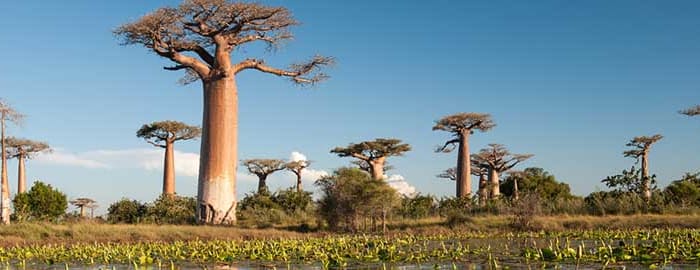 Bekopaka - Morondava