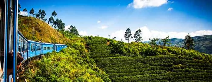 Excursion à Nuwara Eliya