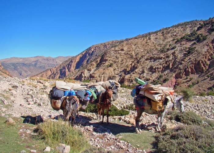 Tizi Oussem -- Aglzim (2,800m)