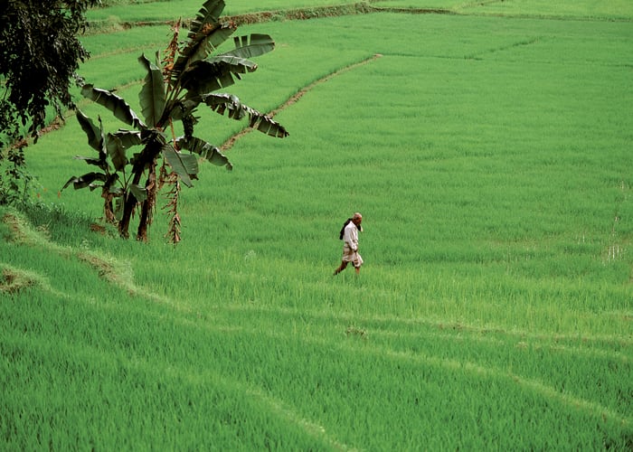 Kandy - Passikudah