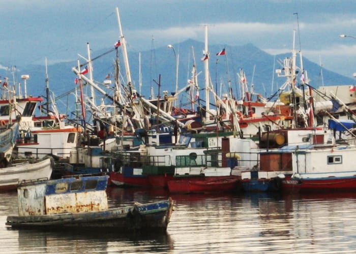 PUNTA ARENAS – PUERTO NATALES