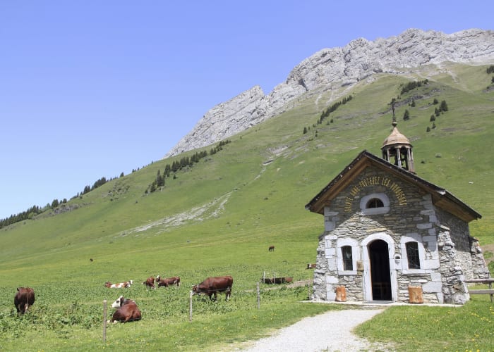 Entre lacs et montagnes