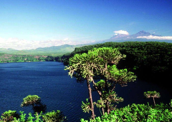 Meru National Park