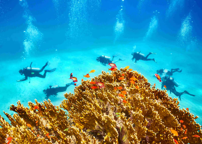 Du 7ème jour jusqu au 9ème jour: Hurghada - Mer Rouge